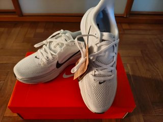 Nike Air Zoom Pegasus 42