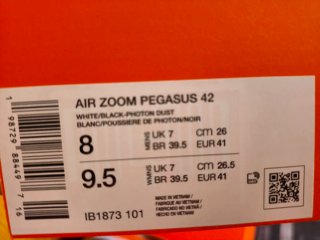 Nike Air Zoom Pegasus 42