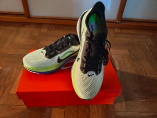 Nike Pegasus 42