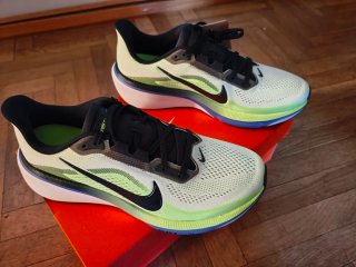 Nike Pegasus 42