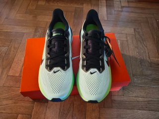 Nike Pegasus 42