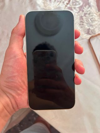 iPhone 13 Pro Max Plata