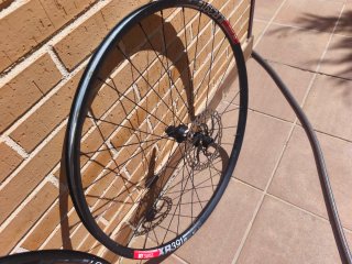 Ruedas DT Swiss XR391 Buje DT Swiss 350