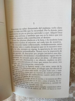 El paso tan lento del amor, H. Bianciotti