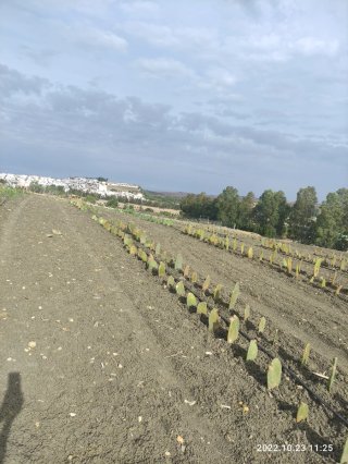 Parcela cerca pueblo