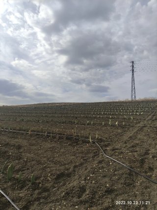 Parcela cerca pueblo