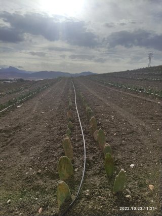 Parcela cerca pueblo