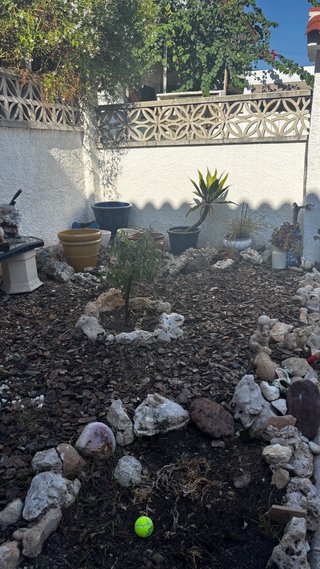 Corteza de pino y piedras decorativas para jardín