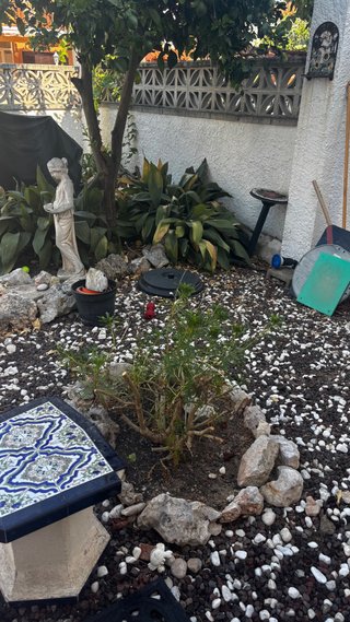 Corteza de pino y piedras decorativas para jardín