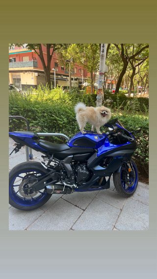 Moto Deportiva Azul y Negra