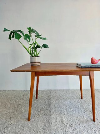 Mesa Mid Century | Vintage 60s