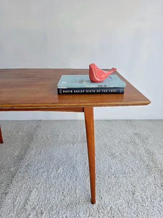 Mesa Mid Century | Vintage 60s