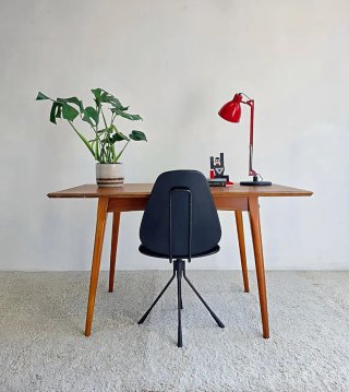 Mesa Mid Century | Vintage 60s