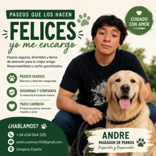 Pasear perros