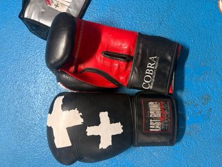 Guantes Boxeo Last Round