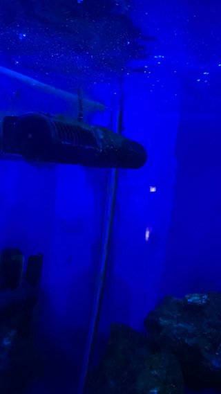 Acuario Marino