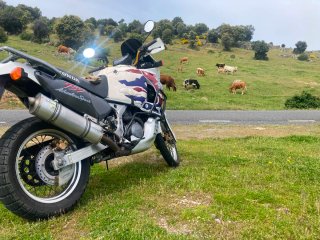 Honda Africa Twin 750 RD07a