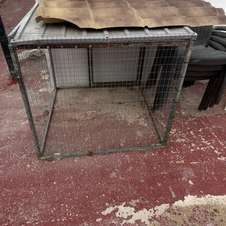 Caseta para perro metálica y de plástico