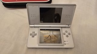 Lote Nintendo DS y muchos juegos