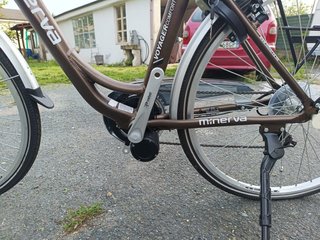 Bici elettrica Minerva donna