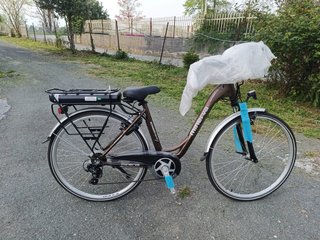 Bici elettrica Minerva donna