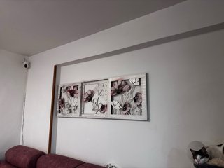 Cuadro Decorativo Flores Madera/Cartón