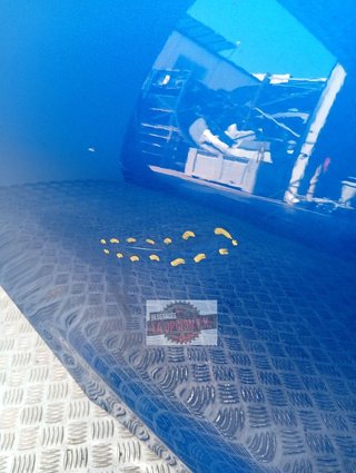 PUERTA TRASERA DERECHA Ford Focus Berlina (CGE)(2018->)