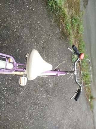 Bicicleta paseo morada marcaBH