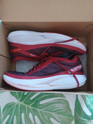 Zapatillas Salomon Phantasm