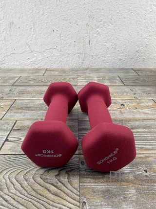 Juego de 2 mancuernas - SONGMICS