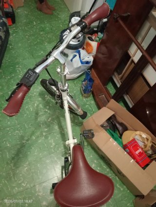 Bicicleta eléctrica con carro para mascotas