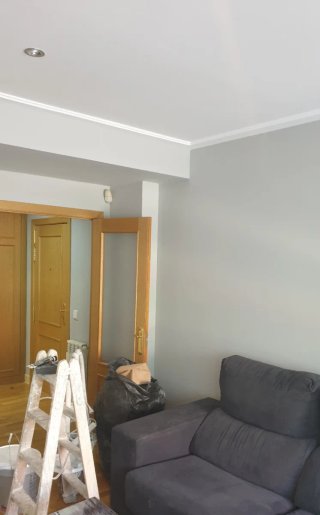 Pintor profesional y economico
