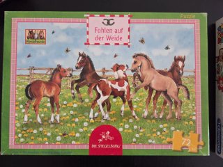 Puzzle Die Spiegelburg 72 piezas