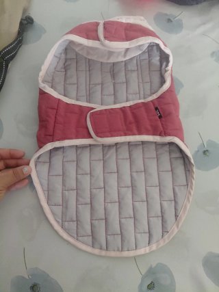 Ropa para perro I Love You