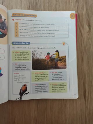 Lengua castellana, 3 Primaria
