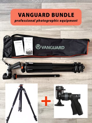 Vanguard Alta Pro 263AT + Testa GH-100