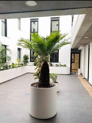 Piso en alquiler en Arenales - Lugo - Avenida Marítima en Palmas de Gran Canaria(Las)