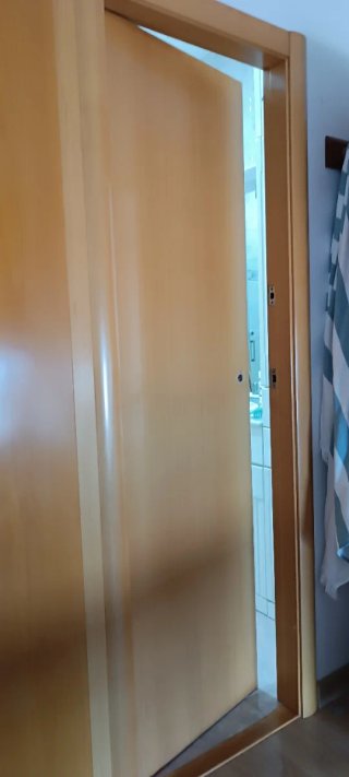 Se regalan puertas de madera interior