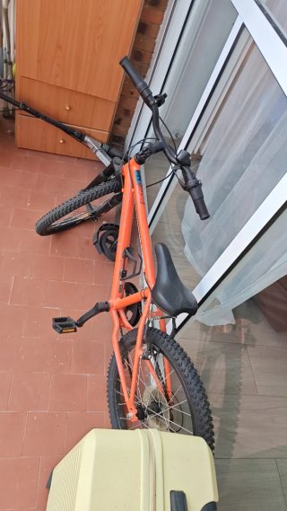 Bicicleta infantil naranja