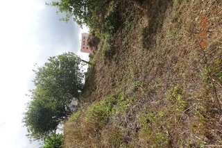 Terreno en venta en Ortigueira