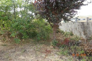 Terreno en venta en Ortigueira