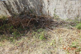 Terreno en venta en Ortigueira