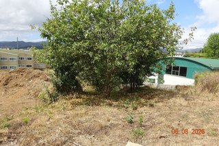 Terreno en venta en Ortigueira