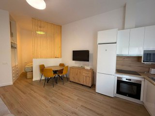 Estudio en alquiler en Centro Internacional en Torrox
