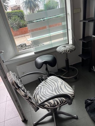 Sillones de peluquería cebra