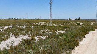 Terreno en venta en La Foia - Daimés - Asprella en Elche