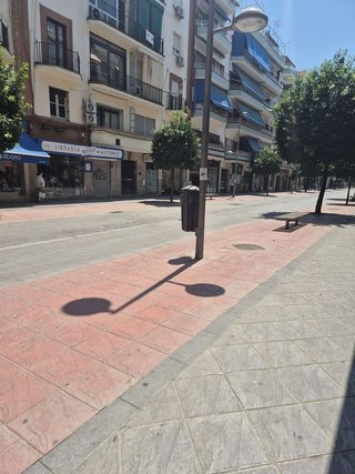 Local comercial en alquiler en Los Remedios en Sevilla