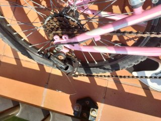 Bicicleta niña 6-10 años. Oregón BH