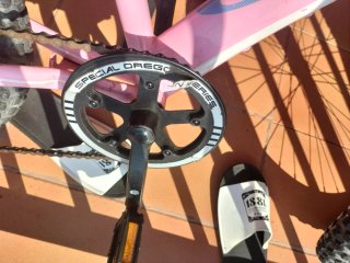 Bicicleta niña 6-10 años. Oregón BH