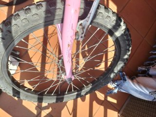 Bicicleta niña 6-10 años. Oregón BH